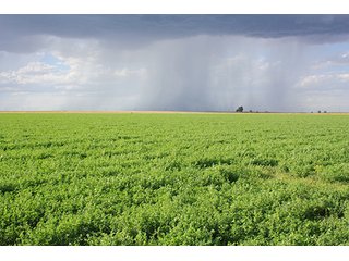 Property photo 65 - LAND AUCTION, 3255+/- Acres offered in 13 Tracts
